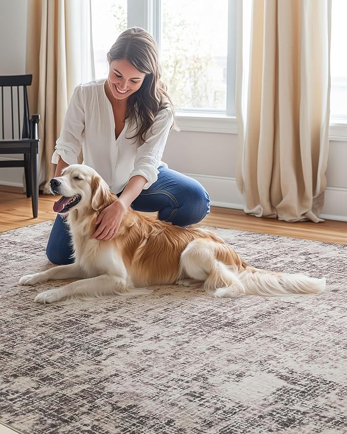 ILANGO 5x7 Modern Area Rug for Living Room Ultra Soft Machine Washable Lightweight Kid & Pet Friendly Stain Resistant Non-Shedding Low Pile Carpet for Bedroom Dining Room Home Office Mat