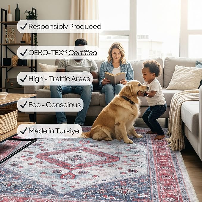 Fame Rugs Turkish Rug. Washable Vintage Oriental Antique Inspired Traditional Doormat Small Modern Area Rugs Luxury Entryway Entry Bedroom Bathroom Kitchen (402RN, 2'5 x 13'1)