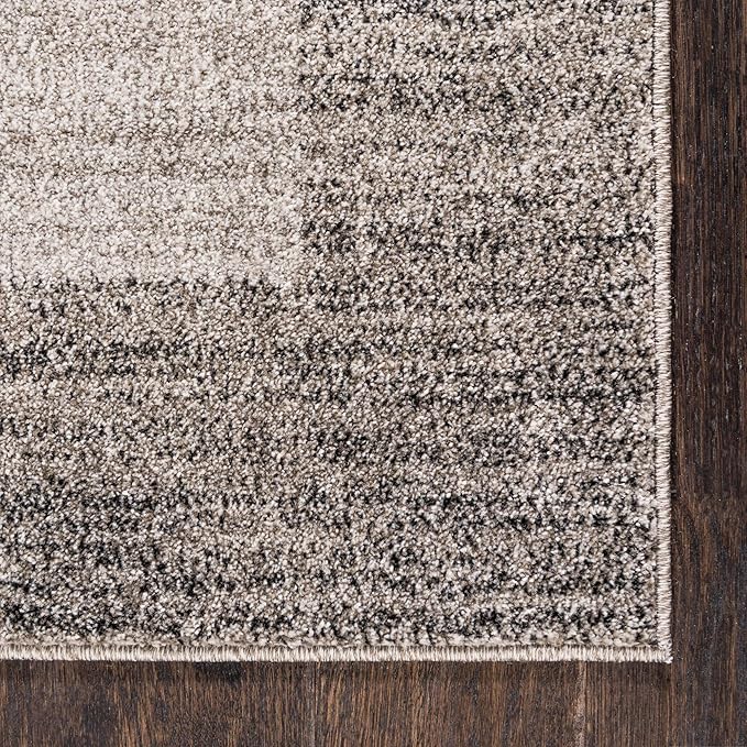 Rugs.com Angelica Collection Rug – 4' x 6' Light Gray Medium Rug Perfect for Entryways, Kitchens, Breakfast Nooks, Accent Pieces