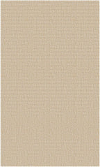 EARTHALL Washable Area Rug 3x5 Ft Non Slip Rugs for Entryway Braided Rubber Backed Throw Rugs Door Mat Indoor Outdoor Entrance Rug for Kitchen Foyer Front Door Living Room, Golden Beige/White