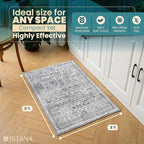 Istana 2x3 Area Rug - Light Grey Boho Rugs for Living Room 2x3 - Foldable Small Rugs for Bedroom - Stain Resistant Washable Rug Non Slip - Eco-Friendly Area Rugs Indoor