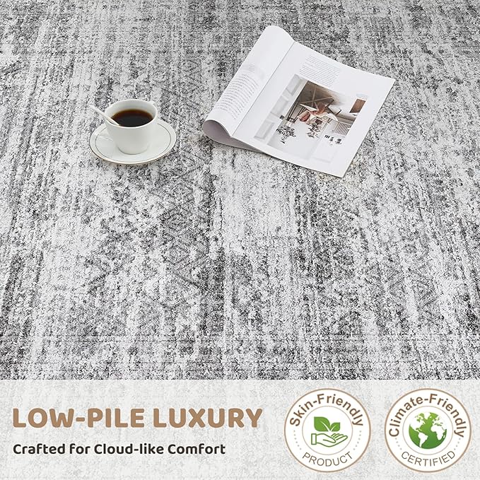 6x9 Area Rug Living Room Rugs - Washable Neutral Modern Abstract Soft Thin Rug Indoor Floor No Slip Rug Carpet for Bedroom Under Dining Table Home Office Decor - Light Gray