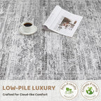 9x12 Area Rug Living Room Rugs - Washable Neutral Modern Abstract Soft Thin Rug Indoor Floor No Slip Rug Carpet for Bedroom Under Dining Table Home Office Decor - Light Gray