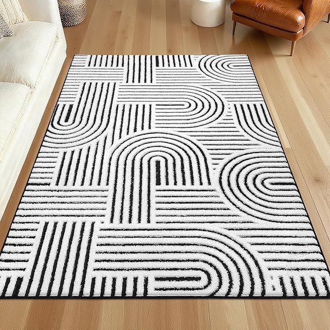 SHACOS Soft Cozy Fluffy Arch Pattern High Low Pile Rugs 4'x6' Non Slip Washable Scandinavian Minimalist Rug Modern Geometric Arc Carpet for Living Room Bedroom Dining Room, Black White