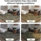 Bavni Area Rugs for Living Room, 5x7 Area Rugs Non-Slip Washable，Ultra-Thin Aesthetic Boho Rug for Bedroom Dinning Room Office, Dark Green/Multi