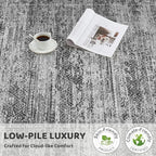 3x5 Area Rug Living Room Rugs - Washable Neutral Modern Abstract Soft Thin Rug Indoor Floor No Slip Rug Carpet for Bedroom Under Dining Table Home Office Decor - Dark Gray