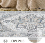 Bavni Area Rug 5x7 for Living Room Bedroom Dining Room, Boho Tribal Machine Washable Rug Print Vintage Aesthetic Gray Carpet, Floor Cover, Low Pile Lightweight Non Slip