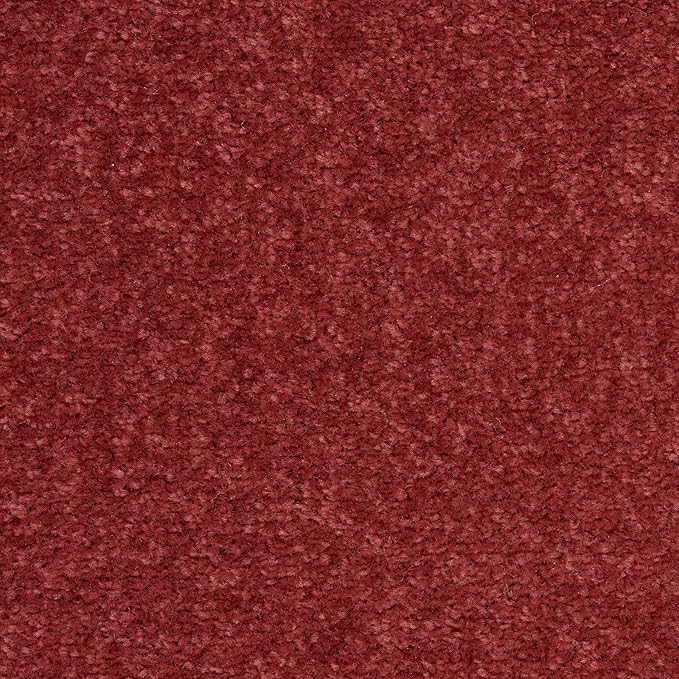 Nourison Home Nourison Essentials Brick Red 5' x Square Area Rug - Easy Clean, Non Shedding, Bed Room, Living Room, Dining Room, Kitchen (5' x Square)
