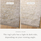 Loloi Amber Lewis Alie Collection ALE-05 Gold/Beige 2'-7'' x 10'-0'', .13'' Pile Height, Runner Rug