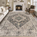 Tangsoo 8x10 Area Rugs for Living Room, 8x10 Washable Rug Vintage Indoor Non Slip Large Area Rugs, Print Distressed Grey Carpet, Soft Low Pile Foldable Floor for Bedroom Dining Room Dorm