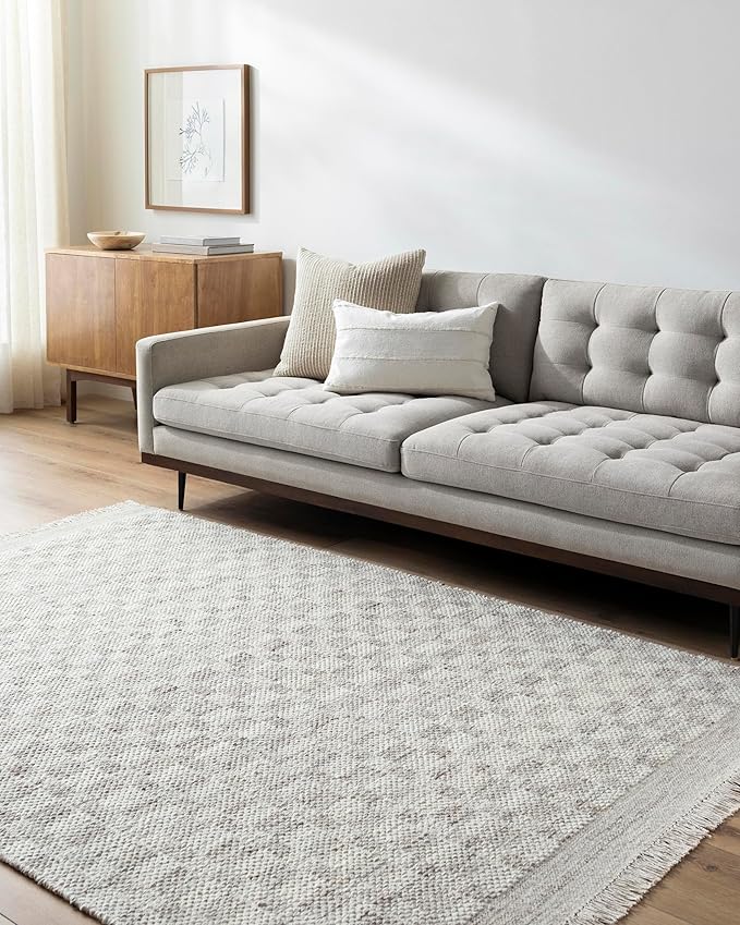 Mark&Day Wool Rugs, 4x6 Clinten Solid and Border Light Gray Checkered Rug, Grey Ivory Carpet for Living Room, Bedroom or Kitchen (3'6" x 5'6")