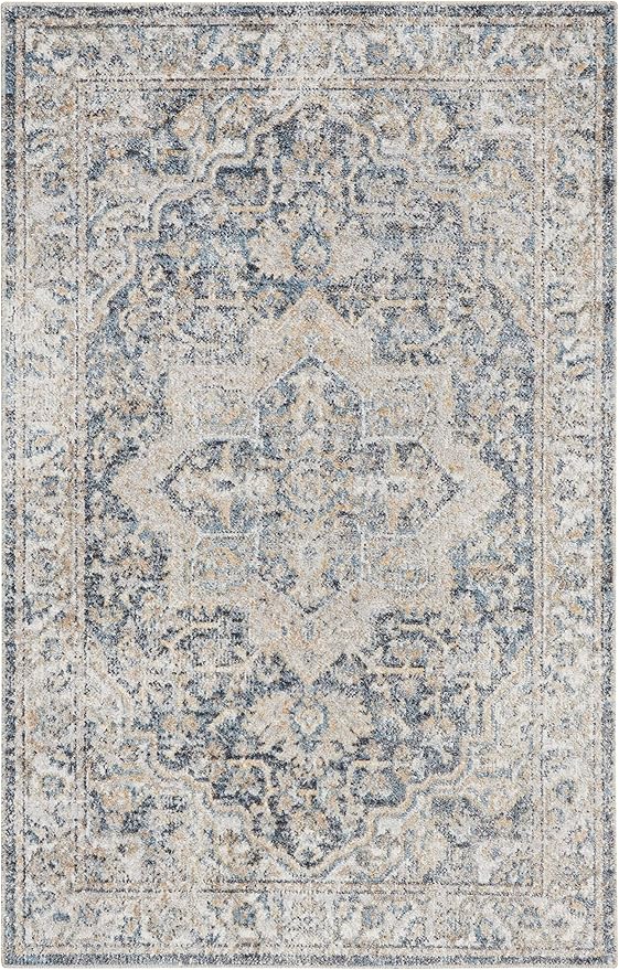 Nourison Home Astra Machine Washable Traditional Grey/Blue 3'3" x 5' Area Rug, Easy Clean, Non Shedding, Bed Room, Living Room, Dining Room, Kitchen (3x5)