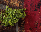 Unique Loom Barista Collection Area Rug - Kouillou (6' 1" x 9' Rectangle, Multi/ Brown)