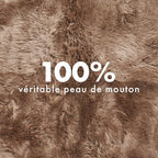 Real Sheepskin Rug 4x6 ft | Sheepskin Rugs for Living Room and Sofa | Large Bedside Rugs for Bedrooms is Breathable & Heat-regulating in Color Light Brown
