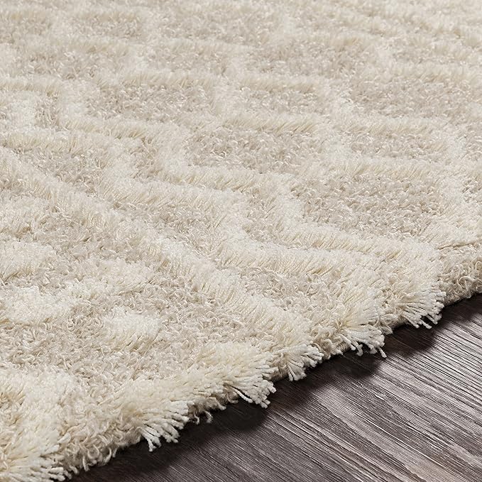 Livabliss Hapsburg Moroccan Shag Runner Area Rug, 2'7" x 7'3", Beige