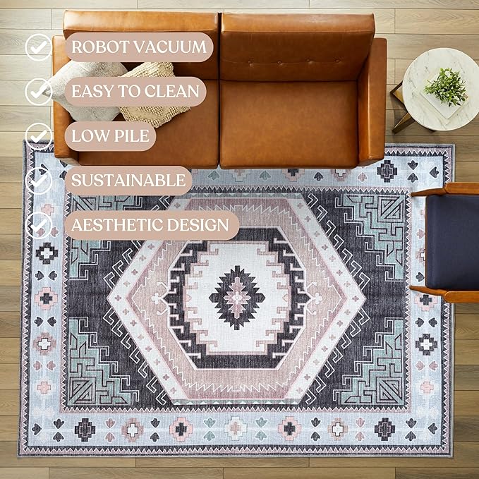 Fame Living Washable Area Rug. Modern Farmhouse. Vintage. Turkish. Bohemian. Distressed. Oriental. Traditional. Rugs for Living Room. Dining. Bedroom. Office. Entryway. (856BlckGry, 2'5" x 6'5")