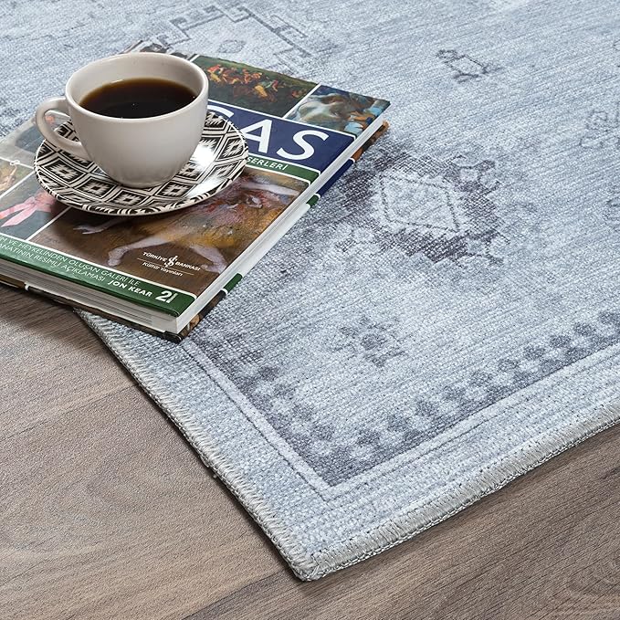 Turkish Rug. Washable Vintage Oriental Antique Inspired Traditional Doormat Small Modern Area Rugs Luxury Entryway Entry Bedroom Bathroom Kitchen (394GG, 2' x 3')