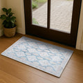 Washable Area Rug, Modern Farmhouse, Vintage, Turkish, Bohemian, Distressed, Oriental, Traditional, Rugs for Living Room, Dining, Bedroom, Office, Entryway, Foyer, (852CB, 2' x 3')