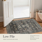 Area Rug Non Slip Machine Washable Ultra Soft Living Room/Bedroom/Kitchen/Outdoor/Classroom Silver, 2'×3'