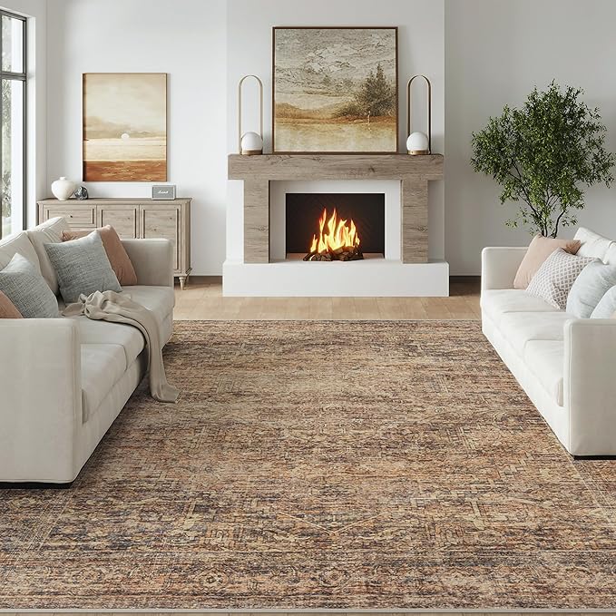 Fmfunctex 6x9 Washable Area Rug Rust Brown Vintage Neutral Distressed Oriental Large Non Slip Carpet for Living Room Bedroom Soft Low Pile Indoor Retro Throw Rug for Dining Room Kitchen Office Nursery