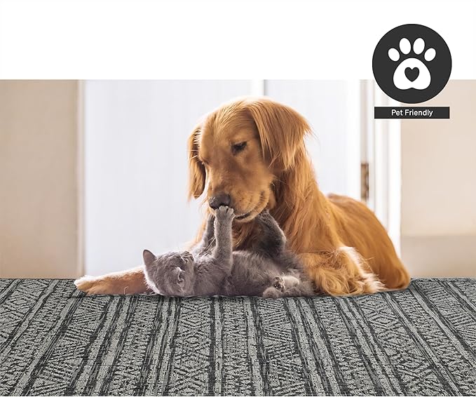 FH Home Flat Woven Outdoor Rug - Waterproof, Easy to Clean, Stain resistant - Premium Polypropylene Yarn - Striped Boho - Patio,Deck,Porch,Balcony, Laundry Room - Amman - Charcoal - 3ft 11in x 5ft 6in