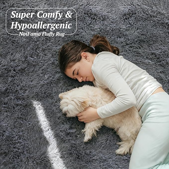 4x6 Area Rugs for Living Room Bedroom, Soft Fluffy Shaggy Bedside Rug, Indoor Floor Carpet for Kids Playroom, Dorms, Nursery Rooms, Home Decor (Grey 4'x6')