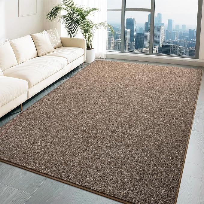 HQAYW 5x7 Area Rugs for Living Room Bedroom, Modern Thickened Memory Foam Soft Rug, Indoor Low Pile Minimalist Washable Non Slip Carpets for Kids Girls Boys Nursery Dorm Home Decor, Brown