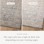 Loloi Amber Lewis Alie Collection ALE-05 Charcoal/Beige 5'-3'' x 5'-3'', .13'' Pile Height, Round Area Rug