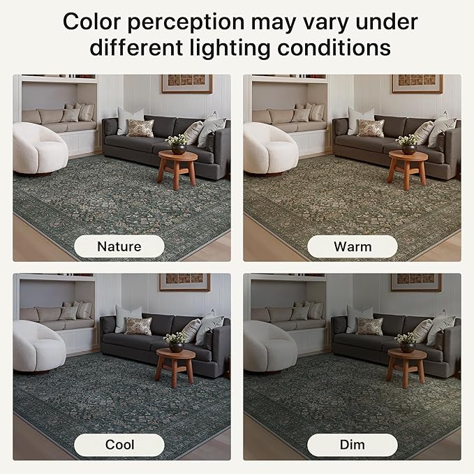 Bavni Area Rugs for Living Room, 5x7 Area Rugs Non-Slip Washable，Ultra-Thin Aesthetic Boho Rug for Bedroom Dinning Room Office, Dark Green