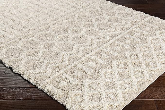 Livabliss Hapsburg Moroccan Shag Area Rug,12' x 15',Beige