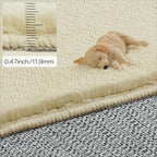 Solid Washable Area Rug - 6x9 Medium Pile Faux Cashmere Carpet for Living Room Bedroom, Light Yellow