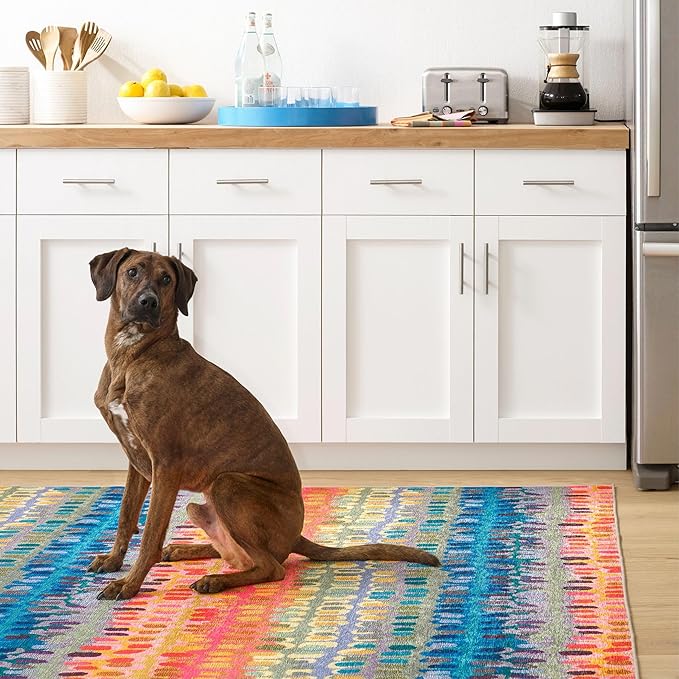 Dash and Albert Paint Chip Machine Washable Area Rug - 4' x 6' Multicolor - Geometric Accent Rug - Anti-Slip Backing, Lightweight, Machine Washable, High Traffic Areas Kitchen, Mudroom, Laundry Room