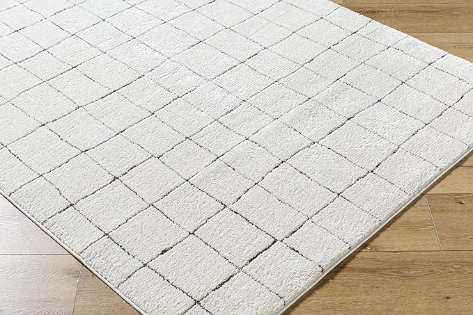 Livabliss x Our PNW Home Cascade Minimalist Area Rug, 5'3" x 7', Ivory