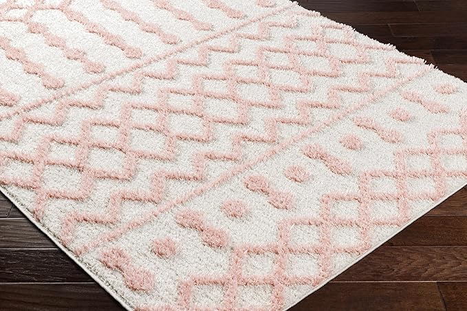 Hauteloom Darva Living Room, Bedroom Area Rug - Contemporary - Plush Pile - Pink - 6'7" x 9'