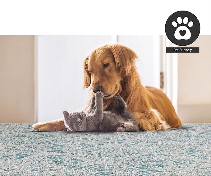 FH Home Flat Woven Outdoor Rug - Waterproof, Easy to Clean, Stain Resistant - Premium Polypropylene Yarn - Distressed Farmhouse - Patio, Porch, Deck, Balcony - Granada - Aqua - 5ft 2in x 7ft 6in