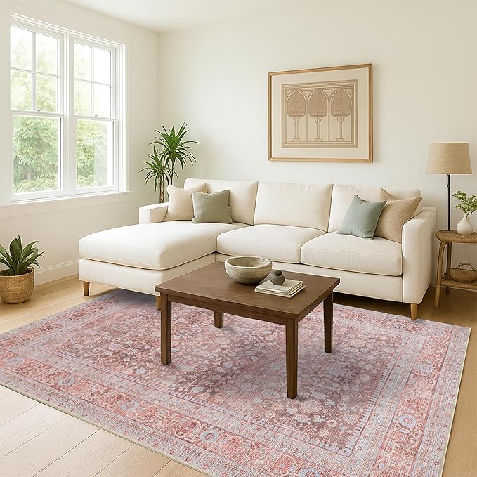 Fame Living Washable Area Rug. Modern Farmhouse. Vintage. Turkish. Bohemian. Distressed. Oriental. Traditional. Rugs for Living Room. Dining. Bedroom. Office. Entryway. Foyer. (860TT, 2'5" x 6'5")