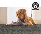 FH Home Outdoor Rug - Waterproof Easy to Clean Stain Resistant - Patio Indoor Outdoor Porch Deck Balcony Entryway - Vintage Distressed - Antalya - Gray - 5ft 2in x 7ft 6in