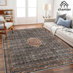 Washable Area Rug 9x12 Boho Chic Medallion Distressed Design Non-Shedding Easy Care Ideal for High Traffic Areas in Rug for Living Room Bedroom Office Coffee Table Large Carpet