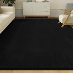 Solid Washable Area Rug - 3x5 Medium Pile Faux Cashmere Carpet for Living Room Bedroom, Black