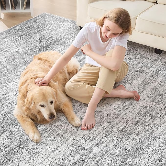 Area Rug Living Room Rugs - 5x8 Large Soft Indoor Neutral Modern Abstract Low Pile Washable Rug Carpet for Bedroom Dining Room Farmhouse Home Office - Vintage Grey