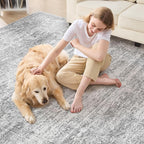 Area Rug Living Room Rugs - 6x9 Abstract Large Soft Indoor Washable Rug Neutral Modern Low Pile Carpet for Bedroom Dining Room Farmhouse Home Office - Vintage Grey