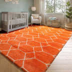 ONASAR Rugs for Living Room Bedroom, 5x8 Washable Fluffy Orange and White Area Rug, Geometric Boho Soft Plush Shaggy Fuzzy Floor Carpet for Nursery Kids Girls Boys Teen Dorm Home Decor Aesthetic