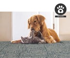 FH Home Outdoor Rug - Waterproof Easy to Clean Stain Resistant - Patio Indoor Outdoor Porch Deck Balcony Entryway - Geometric Modern - Budapest - Aqua - 5ft 2in x 7ft 6in