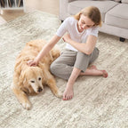 Area Rug Living Room Rugs - 6x9 Abstract Large Soft Indoor Washable Rug Neutral Modern Low Pile Carpet for Bedroom Dining Room Farmhouse Home Office - Vintage Beige