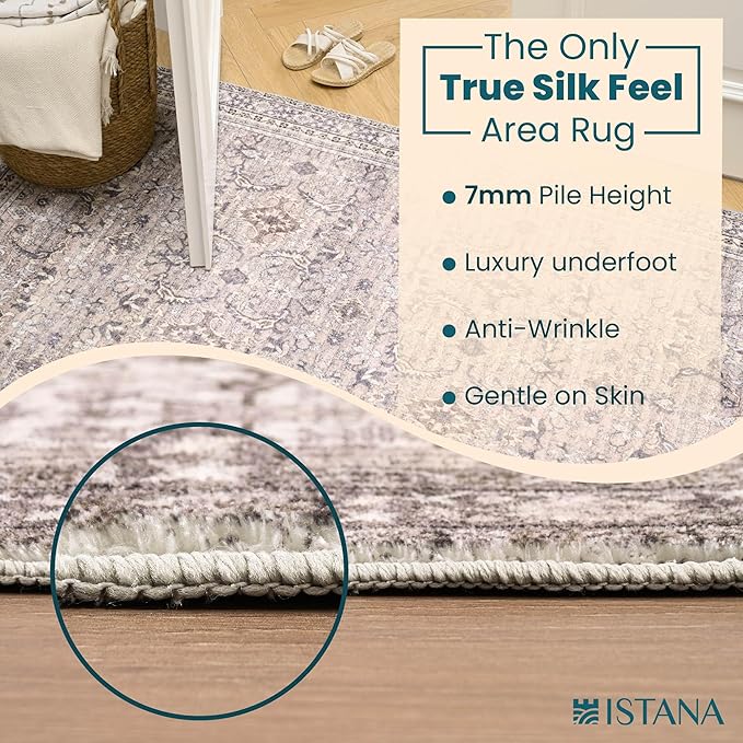 Istana 6x9 Area Rugs - Pale Rose Beige Rugs for Living Room - Luxurious Silk's Soft Touch Living Room Rug - Elegant Non Slip Area Rug