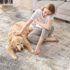 Area Rug Living Room Rugs - 6x9 Washable Soft Indoor Neutral Modern Abstract Low Pile Rug Carpet for Bedroom Dining Room Farmhouse Home Office - Brown Grey