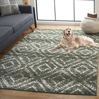 SAFAVIEH Adirondack Collection Area Rug - 6' x 9', Dark Green & Ivory, Geometric Design, Non-Shedding & Easy Care, Ideal for High Traffic Areas in Living Room, Bedroom, Dining (ADR131E-6)