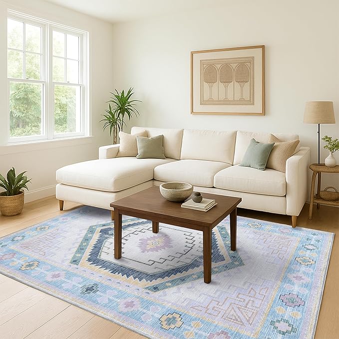 Fame Living Washable Area Rug. Modern Farmhouse. Vintage. Turkish. Bohemian. Distressed. Oriental. Traditional. Rugs for Living Room. Dining. Bedroom. Office. Entryway. Foyer. (856PBl, 2'5" x 13')