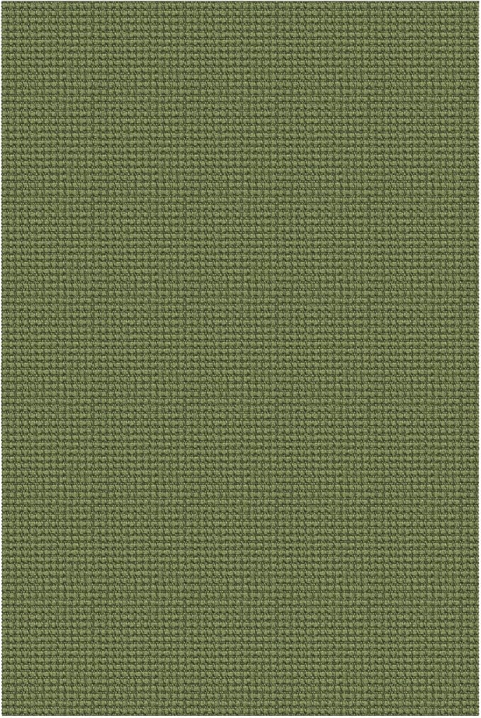 Braided Area Rug 4x6 Ft Washable Rugs for Entryway Non Slip Throw Rugs Boho Door Mat Indoor Entrance Cotton Bedroom Rug Woven Door Carpet for Foyer Bedroom Living Room, Green
