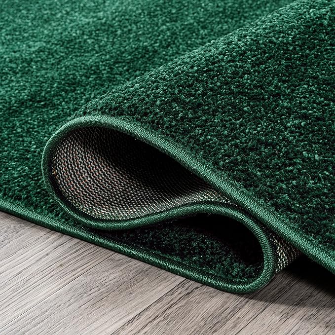 Eyely UES100L-14 Supersoft Haze Solid Low-Pile Indoor Area Rug, Coastal, Bohemian, Minimalist, Classic, Casual for Bedroom,Kitchen,Living Room,Non Shedding,Easy-Washing, Green, 10 X 14